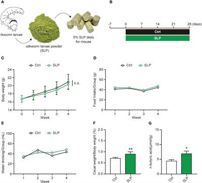 Ad libitum feeding of silkworm larvae powder-containing diets specifically influences metabolism-related and short-chain fatty acid-producing gut bacteria in mice